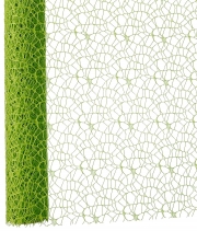 Изображение товара Сетка для цветов PolyNet Luk зеленая